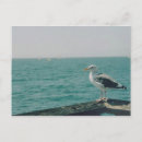 Suche nach seegras poster Wild