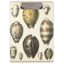 Suche nach einzigartige klemmbrett Muschel