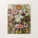 Suche nach haeckel puzzle Orchideen
