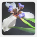 Suche nach iris blumen aufkleber Weiß
