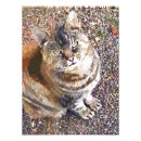 Suche nach tabelle poster Katze