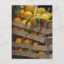 Recherche de abondance cartes postales Extérieur
