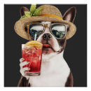 Recherche de de terrier de boston posters Chiens