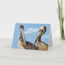 Suche nach freier vogel karten Himmel