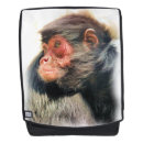 Recherche de monkeys sacs Primate