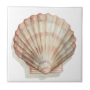 Suche nach seashells fliesen Ozean