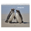 Suche nach pinguine kalender Vögel