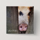 Recherche de animaux humoristiques badges Mignon