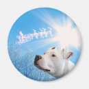 Suche nach pitbull magnete Haustiere