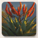 Suche nach konzentration untersetzer Blume