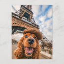 Recherche de épagneuls Dogs