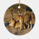 Suche nach afrikanische löwen ornamente Katze