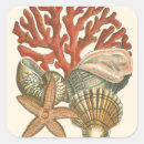 Recherche de coquille de conque autocollants Étoiles de mer