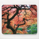 Suche nach ahorn mousepads Fall