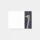Suche nach lustiger vogel post it Strauß