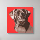 Suche nach labrador retriever leinwandbilder Schokolade