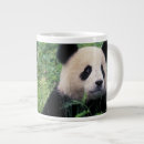 Recherche de ours panda géant tasses Asie