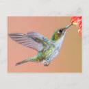 Recherche de orange verte cartes postales Nature