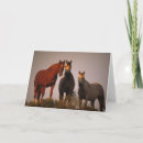 Suche nach araber karten Reiter