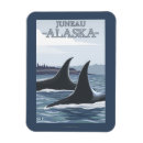 Recherche de orques magnets Baleines