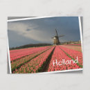 Recherche de rose vents cartes postales Pour tous