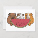 Suche nach niedliche wassermelone postkarten Tier