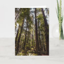 Recherche de sequoia vœux cartes Forêt