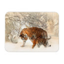 Recherche de animaux maison magnets Famille