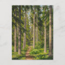 Suche nach waldweg postkarten Grün