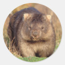 Suche nach australier aufkleber Natur