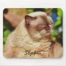 Suche nach for mousepads Für sie