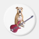 Suche nach gitarre magnete Rock