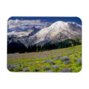 Recherche de rain magnets Alpin