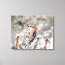Recherche de pic impressions sur toile Nature