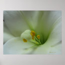 Suche nach easter kunst Floral