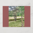 Suche nach schönheit der natur postkarten Grün