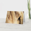 Suche nach mähne karten Palomino