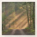 Suche nach sonnenlicht untersetzer Landschaft
