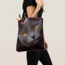 Recherche de yeux oranges sacs Chat