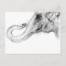 Recherche de illustrations originales cartes postales Vintage