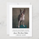 Recherche de drôles de chien invitations Pour tous