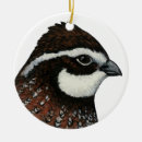 Recherche de caille ornements Animal