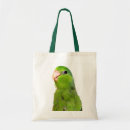 Recherche de parrotlet Vert