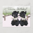 Recherche de terrier invitations Animaux de compagnie