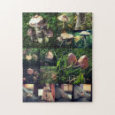Suche nach pilz puzzle Fotografie