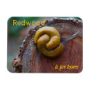 Recherche de postales refrigérateur magnets Californie