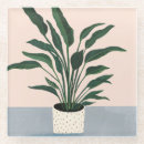 Recherche de plantes dessous de verres Feuille