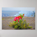 Recherche de volcan hawaïen posters Pele