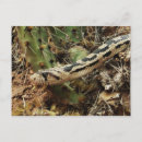 Recherche de serpent noir cartes postales Jaune