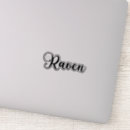 Suche nach raven aufkleber Rabe